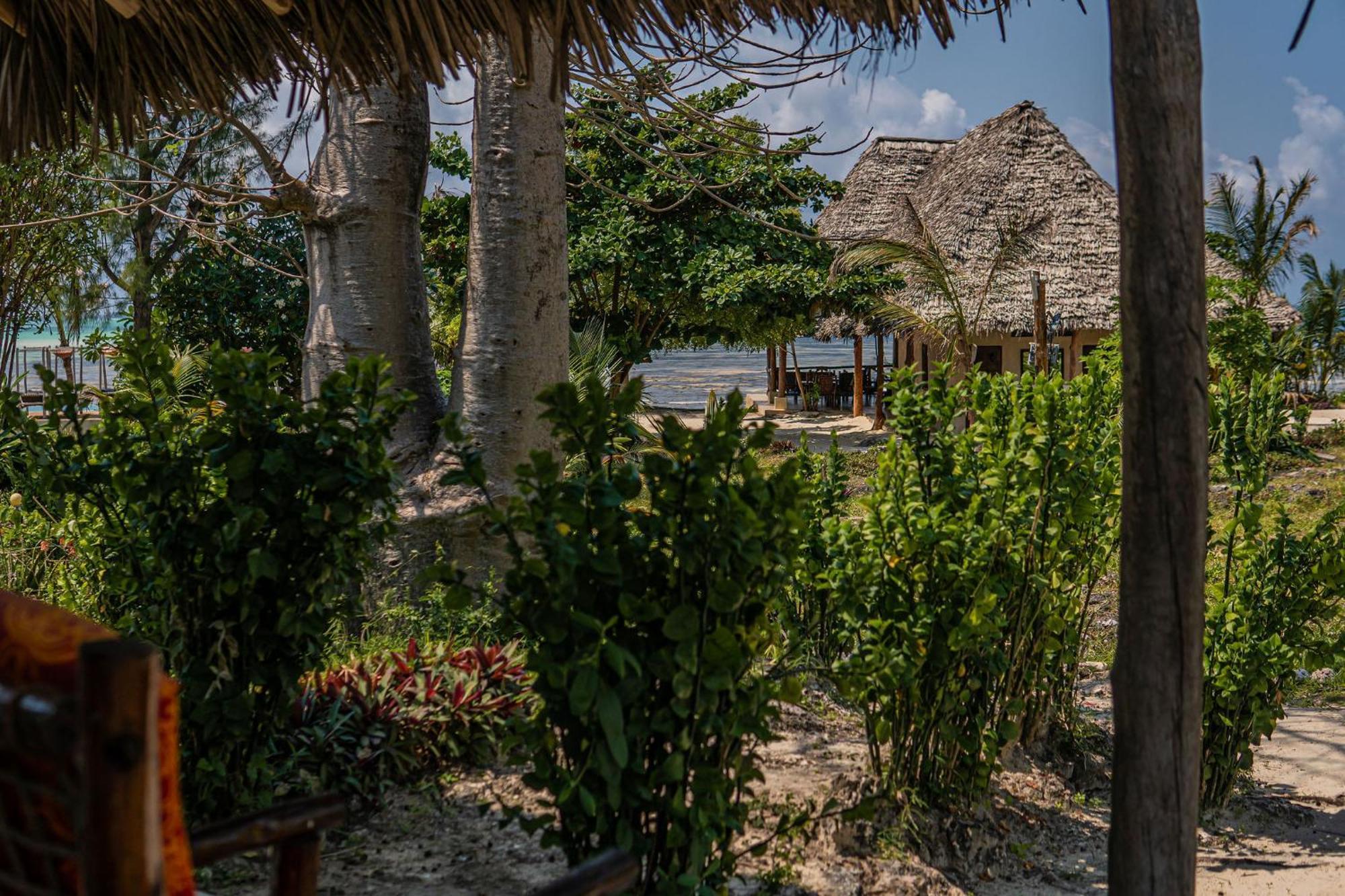 Jaribu Beach Hotel Падже Экстерьер фото